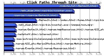 Web Accessed Webpages Graph
