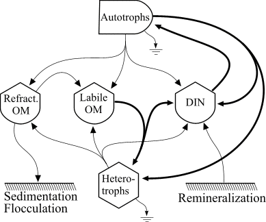 food chain diagram. wallpaper food chain diagram.